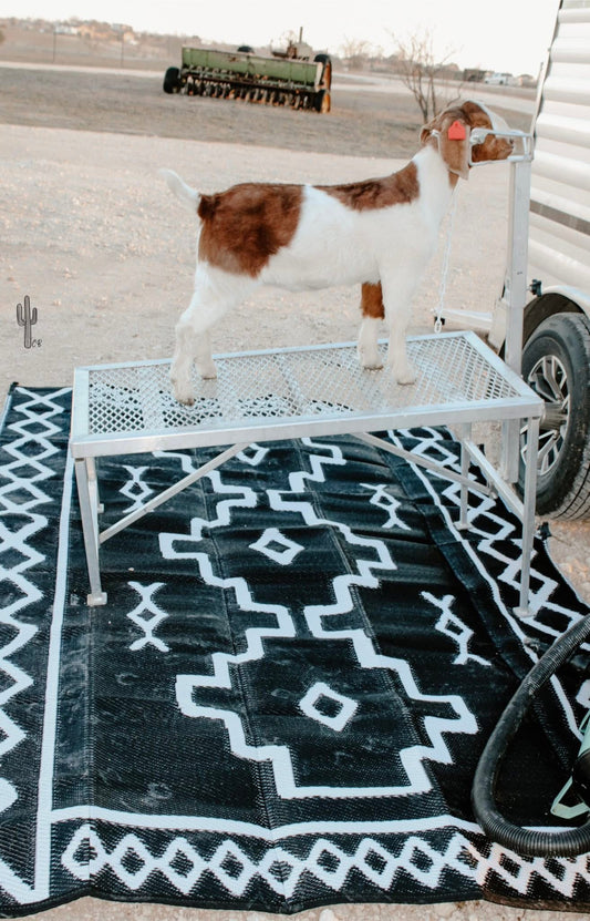Outdoor Rug