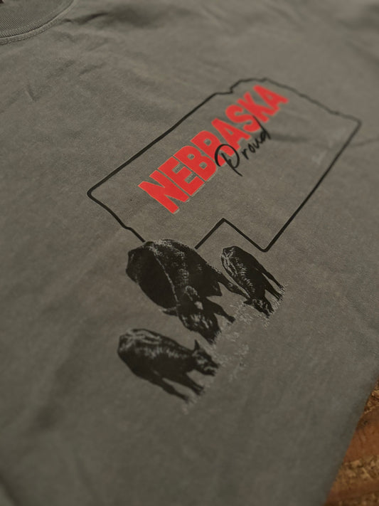 Nebraska Proud Tee