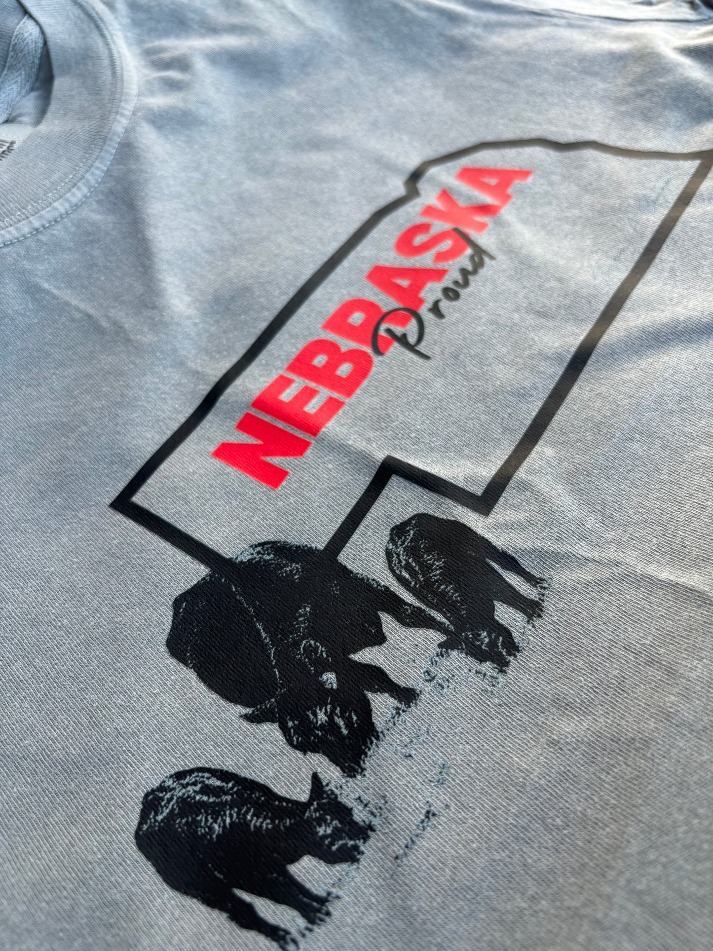 Nebraska Proud tee