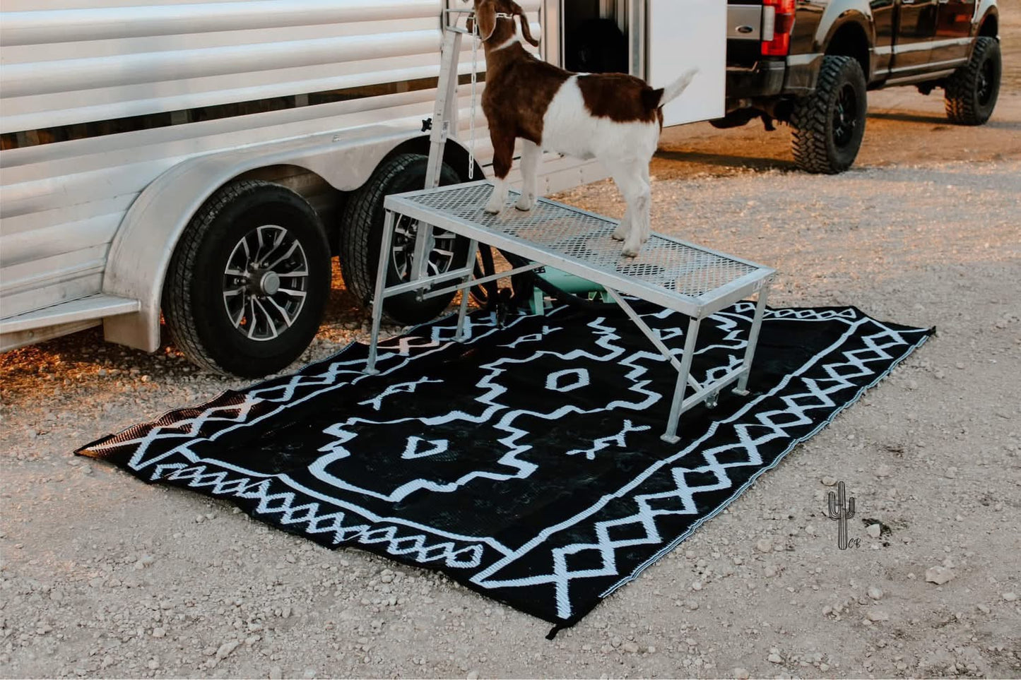 Outdoor Rug